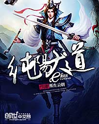 纯阳大道精校版网盘
